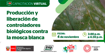 Capacitación online "Producción y liberación de controladores biológicos contra la mosca blanca" del INIA