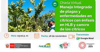 Charla online Manejo Integrado de plagas y enfermedades en cítricos con énfasis en HLB y cancro de los cítricos