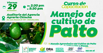 Curso de capacitación presencial "Manejo de cultivo de Palto" del Rediagro Ica