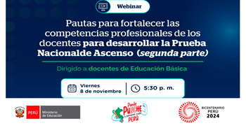 Webinar online Pautas para fortalecer las competencias profesionales de los docentes para desarrollar la Prueba Nacional