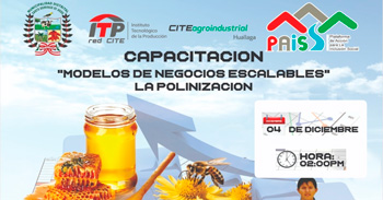 Capacitación semipresencial "Modelos de negocios escalables, la polinización" de CITEAgroindustrial Huallaga