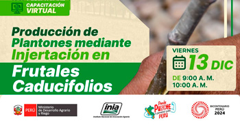 Capacitación online "Producción de plantones mediante injertación en frutales caducifolios" del INIA