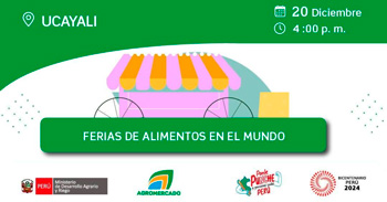 Evento online "Ferias de alimentos en el mundo" de Rediagro Region Piura