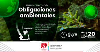 Taller de capacitación presencial "Obligaciones Ambientales" del Gercetur Cusco