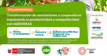 Taller presencial "Impulsando la productividad y competitividad con AGROIDEAS" del MIDAGRI