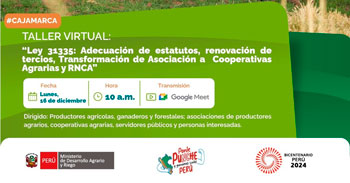 Taller online Adecuación de Estatutos, renovación de tercios, Transformación de Asociación a Cooperativa Agraria y RNCA 