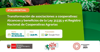 Taller online Transformación de asociaciones a cooperativas: Alcances y beneficios de la Ley 31335