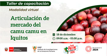 Taller online "Articulación de mercado del camu camu en Iquitos"" del IIAP