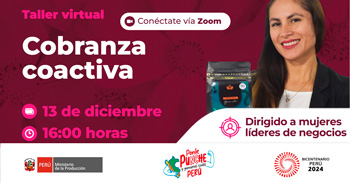 Taller  online "Cobranza coactiva" del PRODUCE