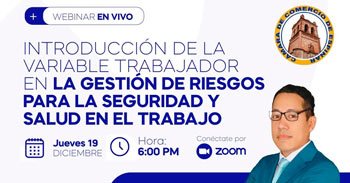 Webinar online " Introducción de la variable trabajador en la gestión de riesgos para la SST "