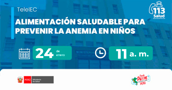 Capacitación online "Alimentación saludable para prevenir la anemia en niños" del  MINSA