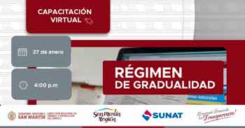  Capacitación online "Régimen de Gradualidad”" DRTPE de San Martín