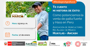 Charla online Te cuento mi historia de éxito: Cómo potenciamos la venta de palta Fuerte y Hass en Perú