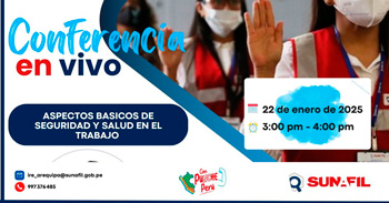 Conferencia online "Aspectos basicos de seguridad y salud en el trabajo" de la SUNAFIL