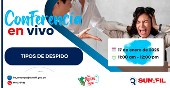 Conferencia online "Tipos de despidos" de la Intendencia Regional de Arequipa - SUNAFIL