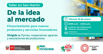 Taller Presencial gratis en la región San Martín: De la idea al mercado de ProInnóvate