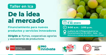 Taller Presencial en la región Ica: De la idea al mercado de ProInnóvate