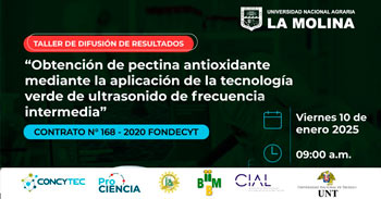 Taller online "Obtención de pectina antioxidante mediante la tecnología" 