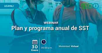  Webinar online "Plan y programa anual de SST"  de la SNI