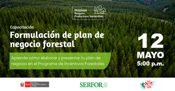 Capacitación "Formuladores de plan de negocio forestal" del Sefor