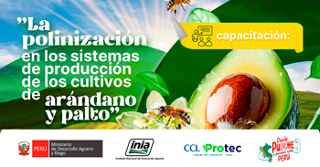 Capacitación presencial  "La polinización en los sistemas de producción de los cultivos de arándonos y palto"
