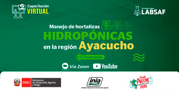 Capacitación online  "Manejo de hortalizas hidropónicas en la región Ayacucho"  del INIA