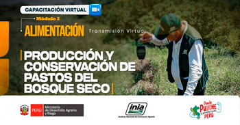  Capacitación online  "Producción y Conservación de pastos del Bosque Seco"  del INIA