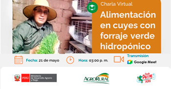 Charla online "Alimentación en cuyes con forraje verde hidropónico"  de Agro Rural