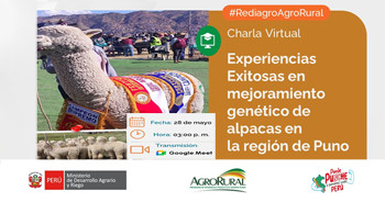 Charla online "Experiencias Exitosas en Mejoramiento genético de alpacas en la región de Puno"  de Agro Rural