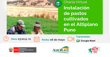  Charla online "Instalación de pastos cultivados en el Altiplano Puno"  de Agro Rural