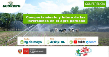 Conferencia online "Comportamiento y futuro de las inversiones en el agro peruano" de REDIAGRO