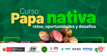Curso presencial  "Papa nativa, retos oportunidades y desafíos." del INIA