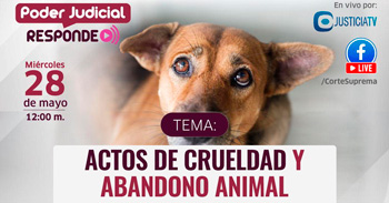Evento online gratis "Actos de crueldad y abandono animal" del Poder Judicial del Perú