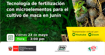 Evento online "Tecnología de fertilización con microelementos para el cultivo de maca en Junín" del INIA