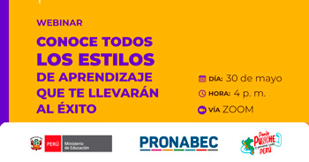 Webinar online ""Conoce los estilos de aprendizaje que te llevarán al éxito"  del Minedu