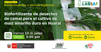 Capacitación online "Biofertilizante de desechos de camal para el cultivo de maíz amarillo duro en Huaral"