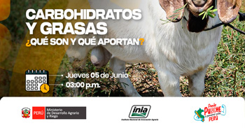 Capacitación online  "Carbohidratos y grasas, ¿Qué son y qué aportan?"  del INIA