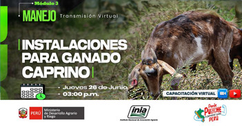 Capacitación online  "Instalaciones para Ganado Caprino"  del INIA