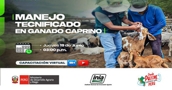 Capacitación online  "Manejo tecnificado en ganado caprino"  del INIA