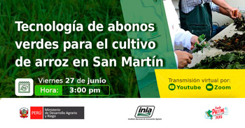 Capacitación online  "Tecnología de abonos verdes para el cultivo de arroz en San Martín"  del INIA