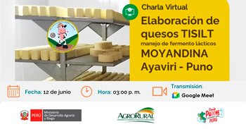 Charla online gratis "Elaboración de quesos Tisilt y manejo de fermento lácticos, MOYANDINA – Ayaviri - Puno"