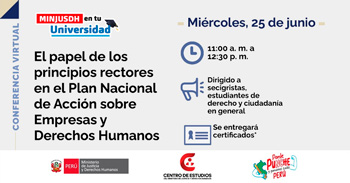 Conferencia online "El Principios Rectores En El Plan Nacional De Acción Sobre Empresas y DD. HH."