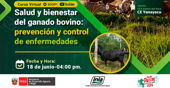 Curso online gratis "Salud y bienestar del ganado bovino: Prevención y control de enfermedades" 