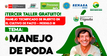 Taller presencial "Manejo de poda" de la Municipalidad Distrital de Végueta