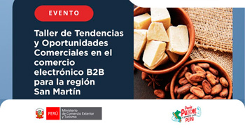 Taller de Tendencias y Oportunidades Comerciales en el comercio electrónico B2B para la región San Martín