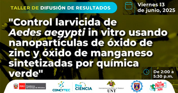 Taller online "Control larvicida de Aedes aegypti in vitro usando nanopartículas de óxido de zinc y óxido"  