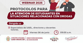 Webinar online "La atención de estudiantes en situaciones relacionadas con drogas" del Minedu