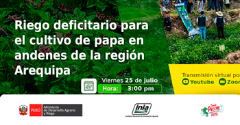  Capacitación online  "Riego deficitario para el cultivo de papa en andenes de la región Arequipa"  del INIA