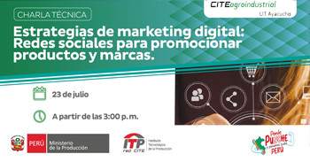  Charla online "Estrategias de Marketing Digital: Redes sociales para promocionar productos y marcas" 