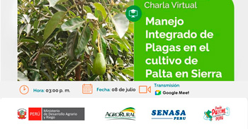 Charla online gratis "Manejo Integrado de Plagas en el cultivo de Palta en Sierra" de Agro Rural
